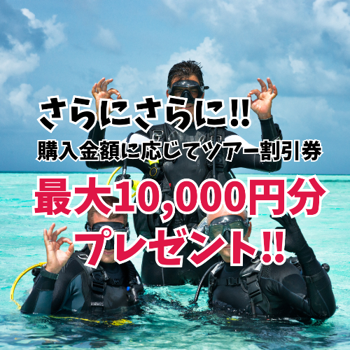 ウェットスーツが7月までお得！サイズオーダー料11,000円が今だけ無料