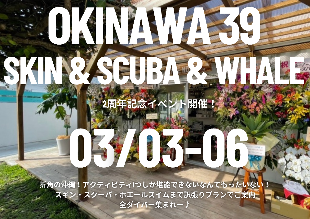 沖縄open2周年記念イベント スキン スクーバ ホエールスイム編 23年3月3日 6日 金土日月 スキンダイビング と ドルフィンスイム 日本最大のツアー スクール開催の トゥルーノース